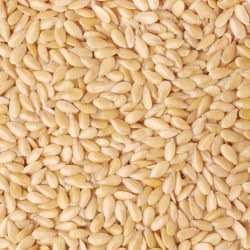 sesame